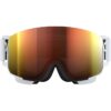 image_15-89.jpg POC Nexal Goggles