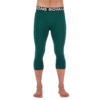 image_22-1.png MONS ROYALE Cascade Merino Flex 200 3/4 Leggings - Men's