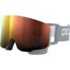 image_25-52.jpg POC Nexal Goggles