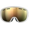 image_3-240.jpg POC Fovea Clarity POW JJ Goggles