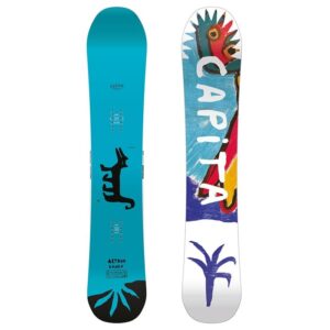 image_1 Capita Aeronaut